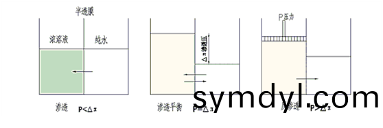 5f6493084d7054f810cc5a41a313464.png