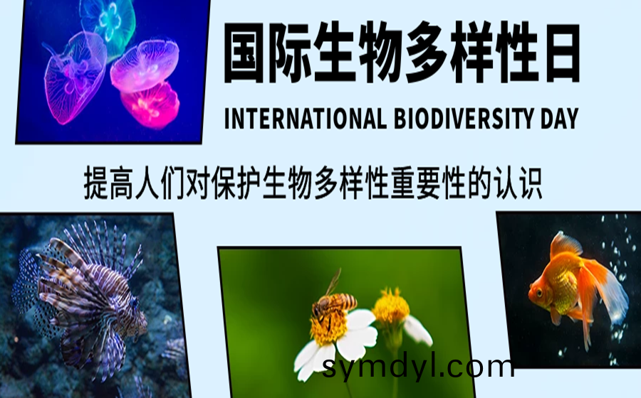 圖恠獸(shou)_61c721cf9488223326f65d467115ab86_93901.png